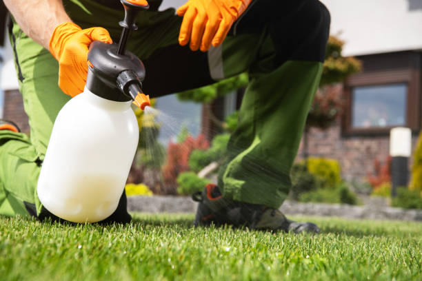 Best Affordable Pest Control Services  in Aledo, TX