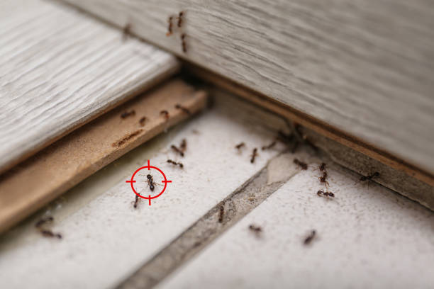 Best Residential Pest Control  in Aledo, TX