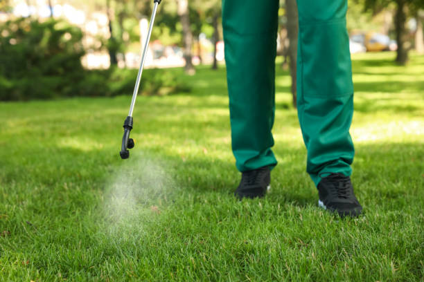 Best Mosquito Control Services  in Aledo, TX