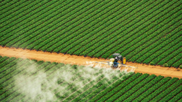 Best Commercial Pest Control Services  in Aledo, TX