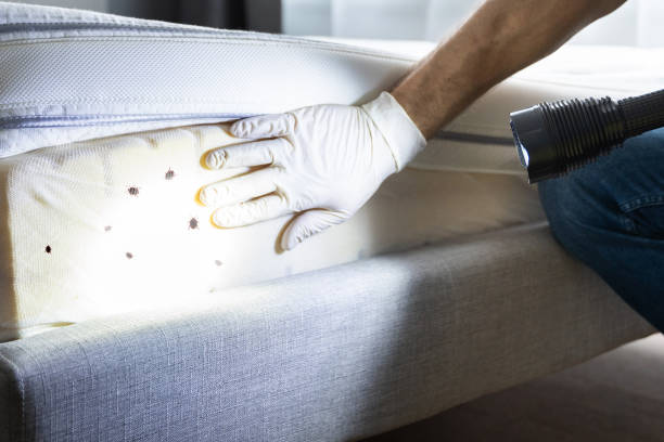 Best Bed Bug Extermination  in Aledo, TX