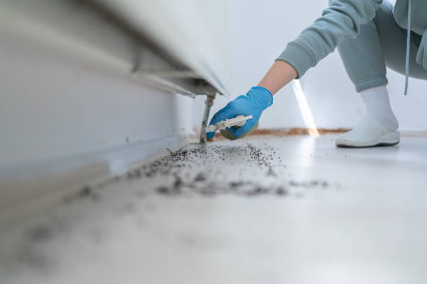 Best Pest Control for Homes  in Aledo, TX