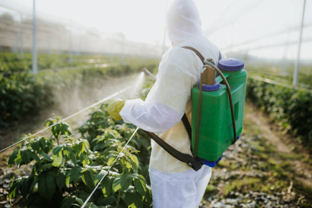 Best Best Pest Control Companies  in Aledo, TX